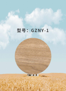 GZNY-1