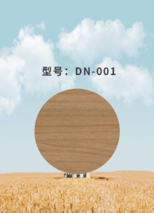 DN-001
