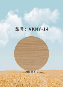 VKNY-14