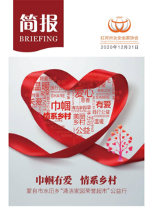 红河州女企业家协会简报（2020.12.31）