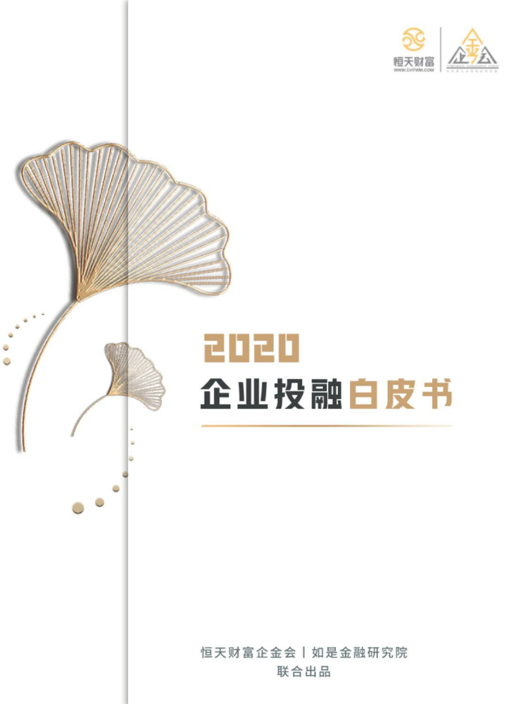 《2020中国企业投融资白皮书》