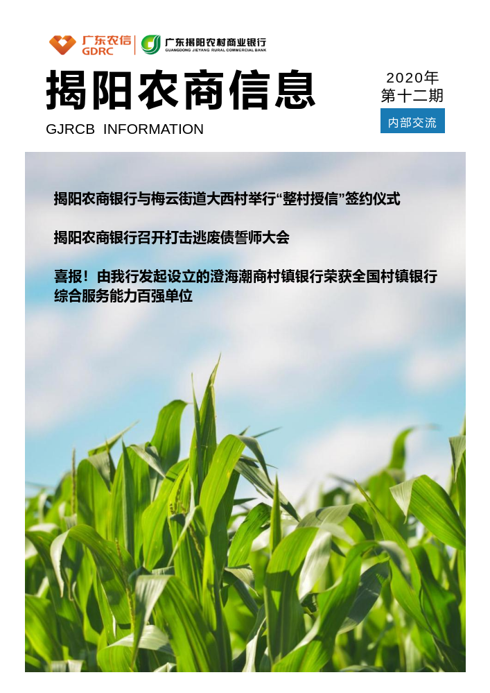 揭阳农商信息第十二期