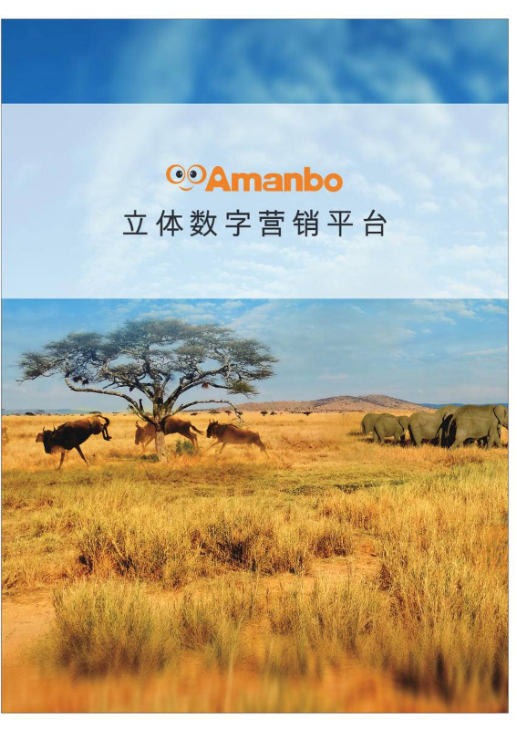 Amanbo企业宣传册