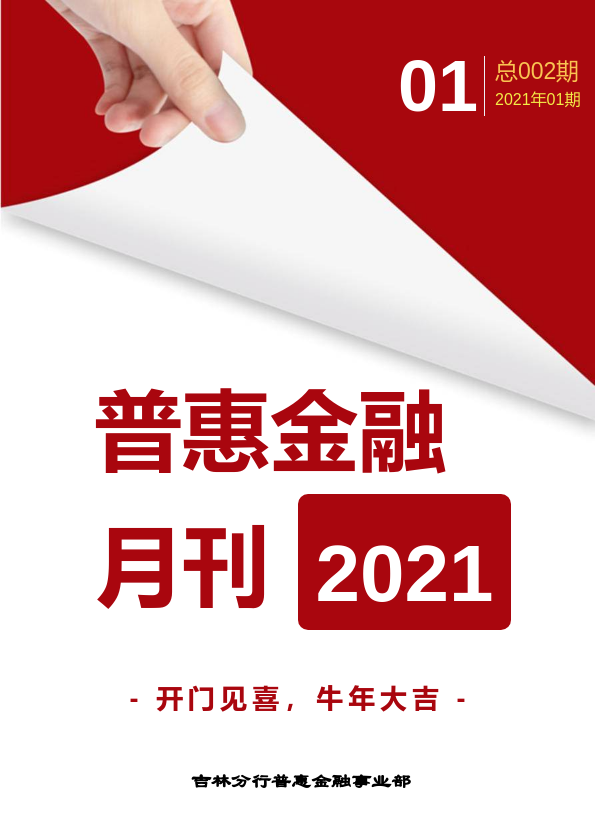 普惠金融月刊202101期