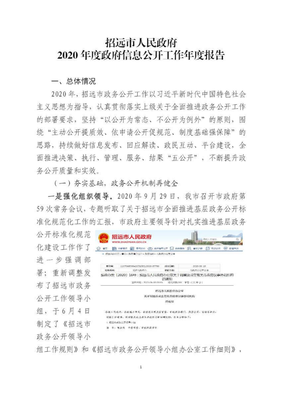 招远市人民政府2020年度政府信息公开工作年度报告