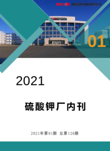 硫酸钾厂内刊 2021第一期