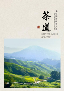 简约中国风茶道画册