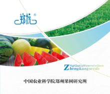 中国农业科学院郑州果树研究所多倍体西瓜课题组产品目录