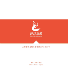 智林宣传画册PDF