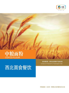 内蒙古分公司产品手册20210611
