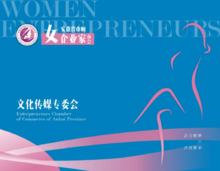 安徽省巾帼女企业家商会——文化传媒专委会电子画册