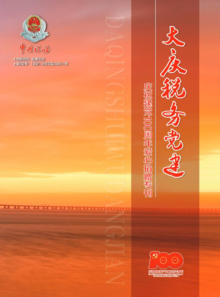 大庆市税务系统庆祝建党100周年爱心捐赠专刊（电子版）