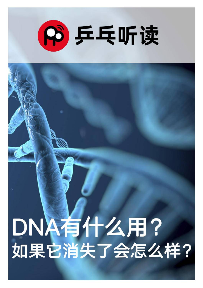 DNA有什么用？如果它消失了会怎么样？