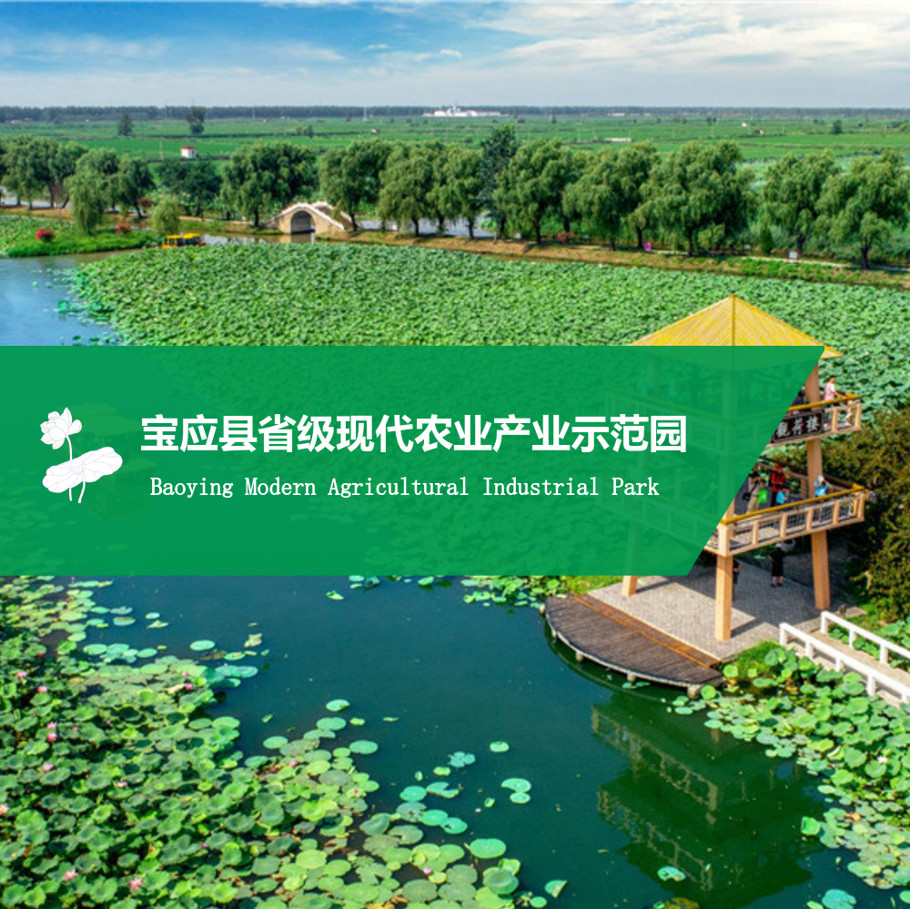 宝应县省级现代农业产业示范园