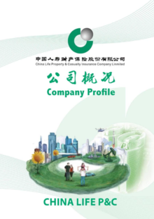 中国人寿财险西和县支公司简介（2021版）
