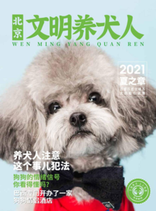 北京文明养犬人2021夏之章