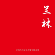 济南兰林文化传媒有限公司画册（电子版）