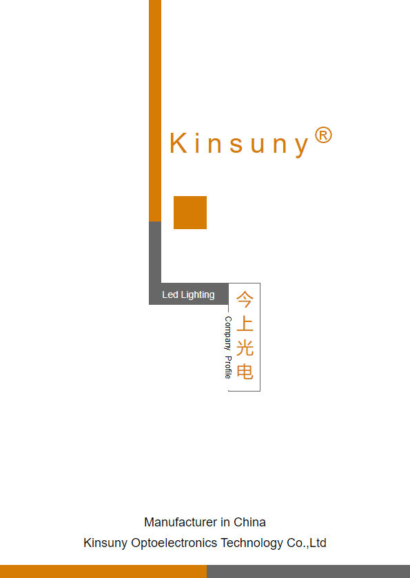 Kinsuny profile