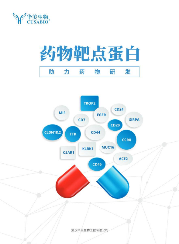 华美生物 药靶蛋白-药企用宣传册