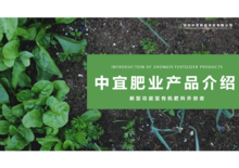 中宜肥业—蔬菜专用肥介绍