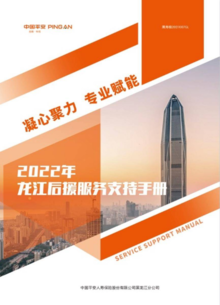 2022年龙江后援服务支持手册