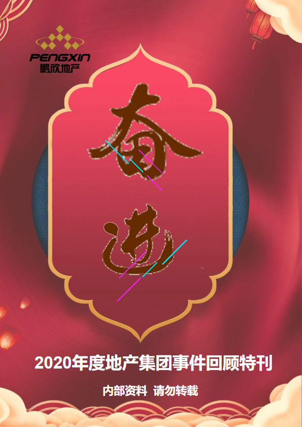 鹏欣地产《奋进》（2020年度地产集团事件回顾特刊）