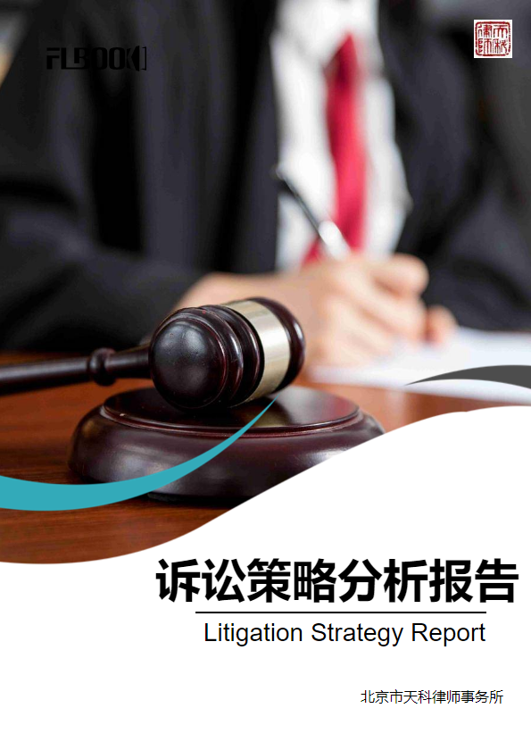 诉讼策略分析报告