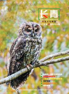 《长青》生态文化期刊（总刊30期）