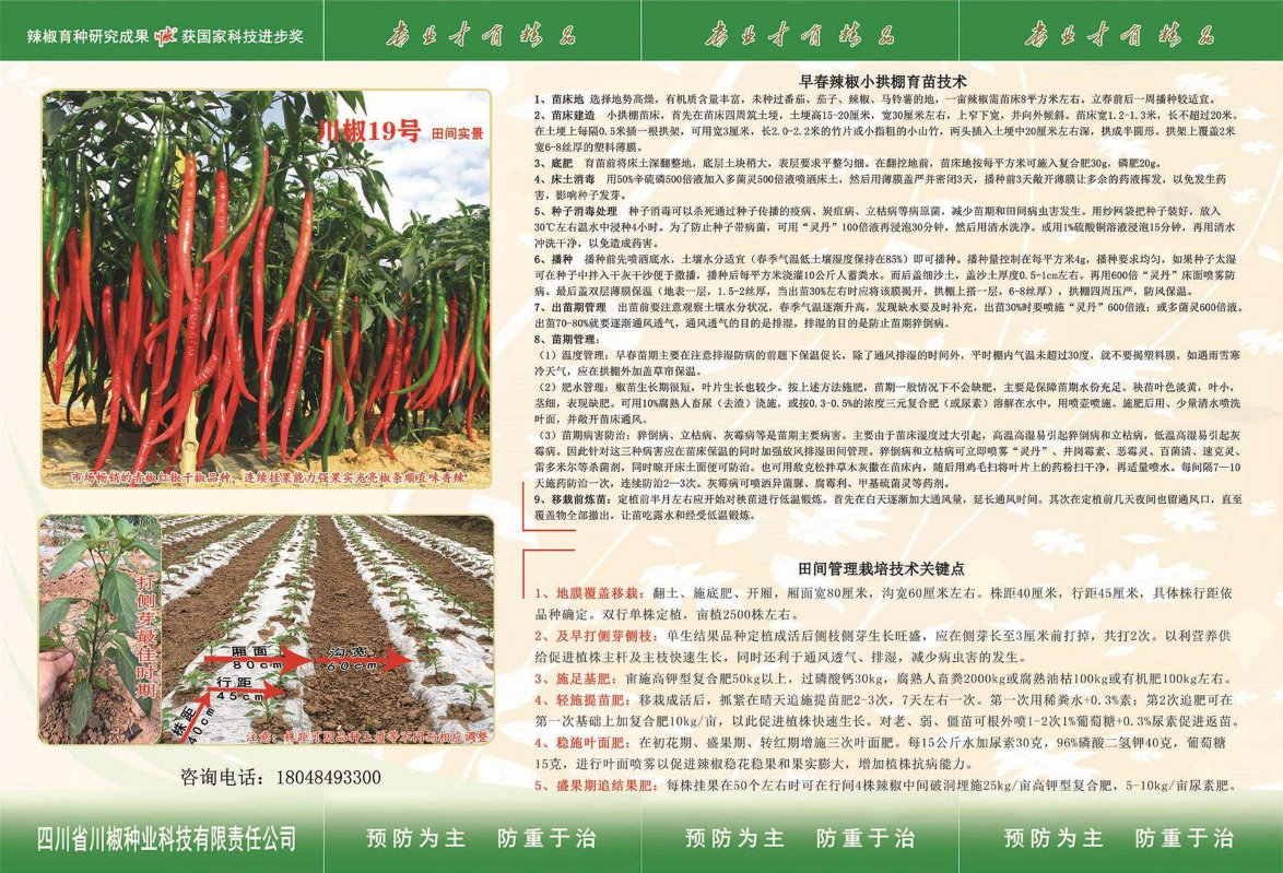 川椒种植技术资料