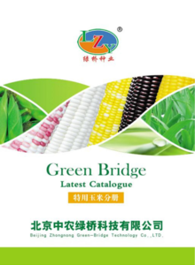 绿桥种业特用玉米产品手册