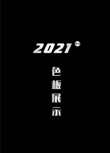 2021新版---色卡