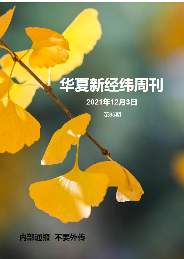 华夏新经纬周刊（第35期）