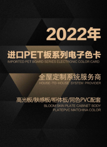2022年龙森全屋定制进口PET板系列电子