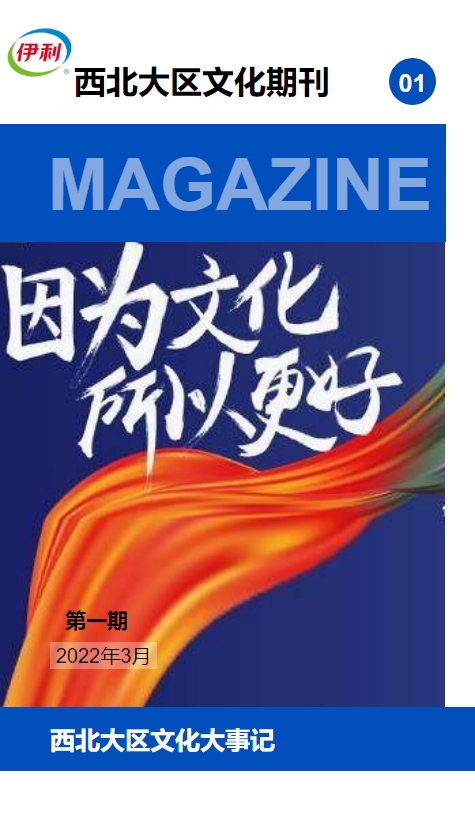 西北大区文化期刊