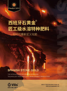 西班牙石黄金-产品画册