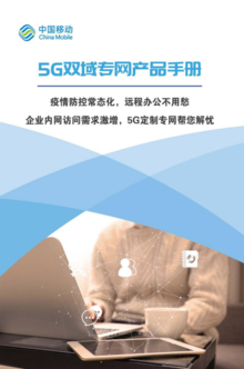5G双域专网产品手册-H5