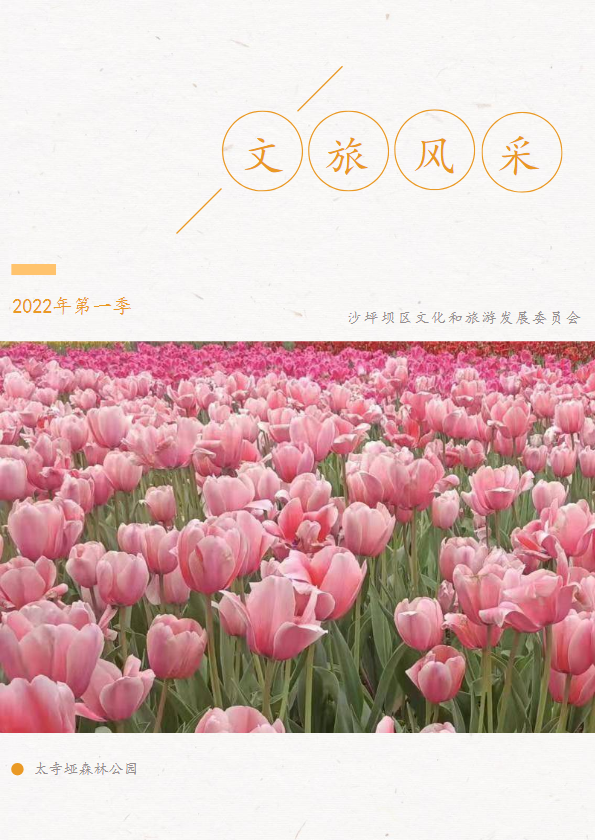 沙坪坝文旅风采