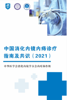 中国消化内镜内痔诊疗指南及共识（2021）