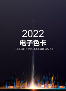 2020电子色卡石纹系列