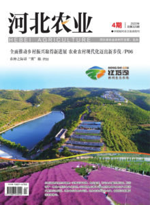 河北农业杂志2022年4期
