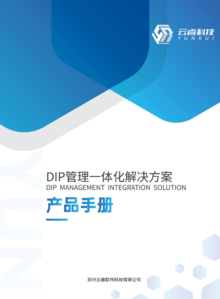郑州云睿科技DIP产品手册