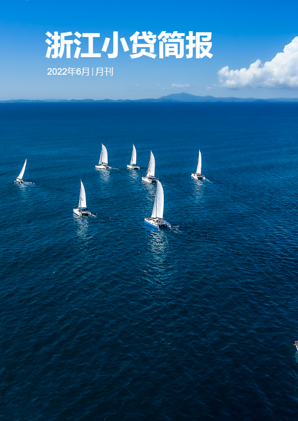 浙江小贷简报-2022年6月