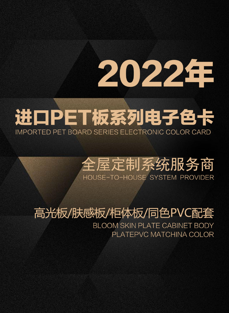 2022进口PET板系列电子色卡