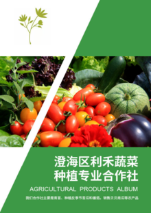 澄海利禾蔬菜种植专业合作社
