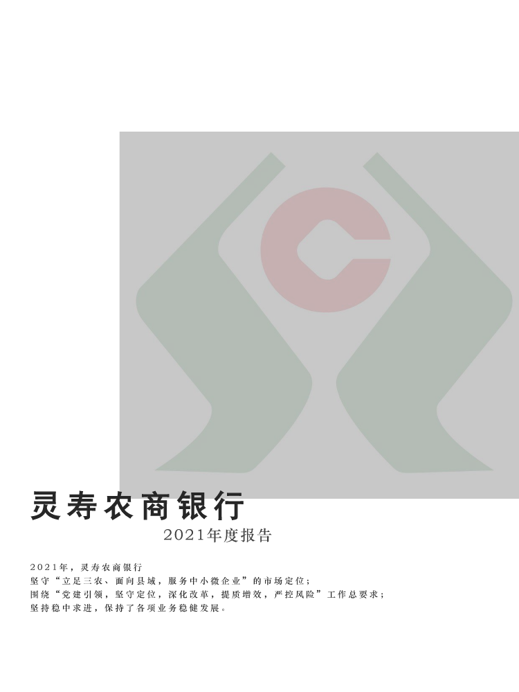 2021年度报告