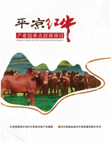平凉红牛产业链重点招商项目册