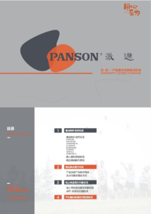 派逊产品展示的形象输出标准及应用管理规定