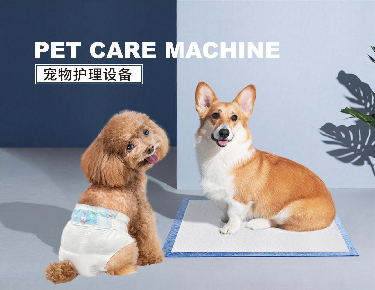 宠物护理设备 PET CARE MACHINE