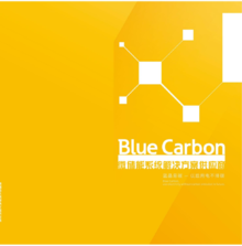 蓝晶易碳 储能（CH）