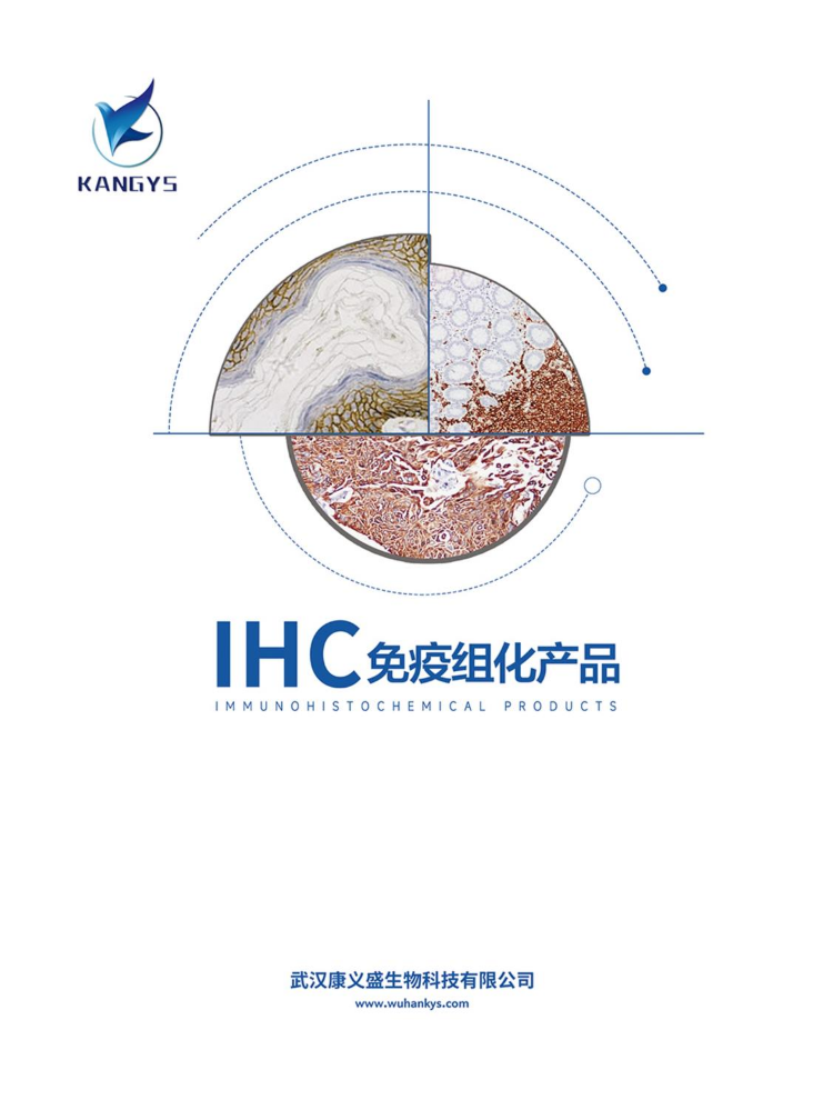 武汉康义盛生物科技-  IHC 免疫组化产品